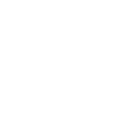 preziso